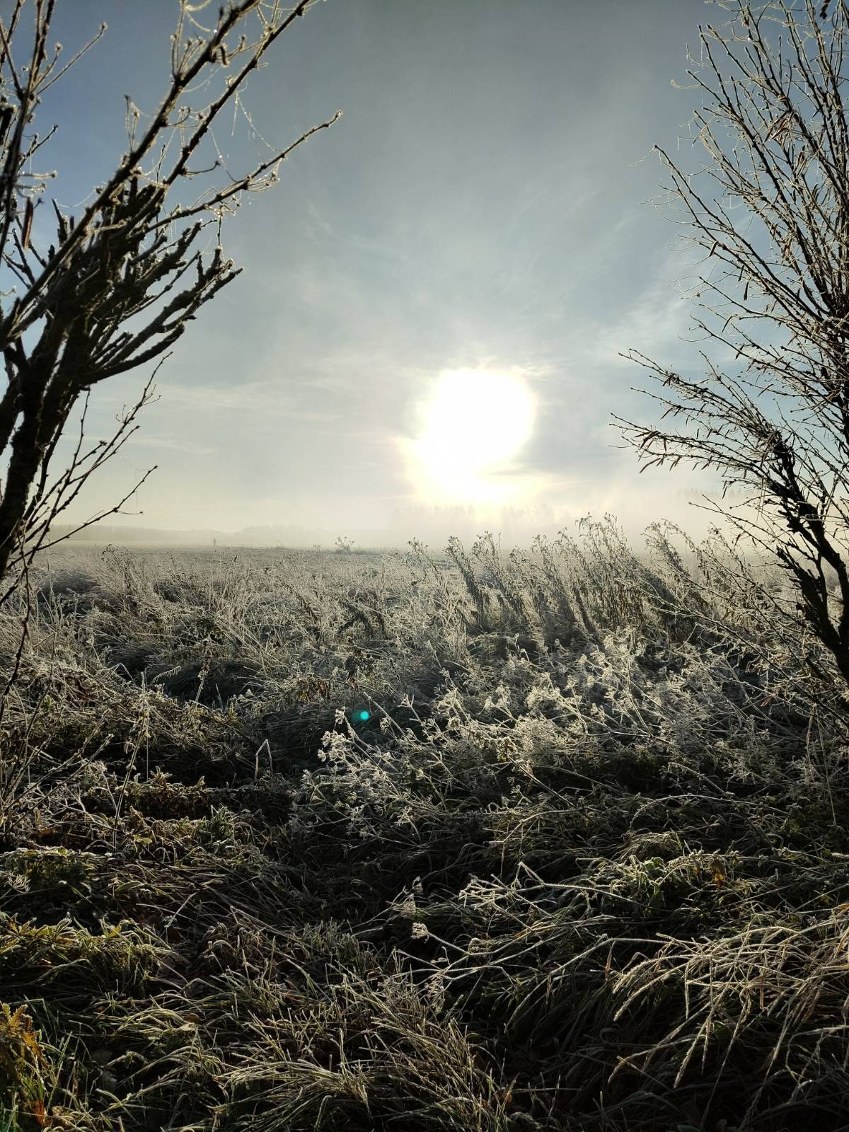 winter, sun